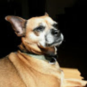 Meet your Posher, Simone